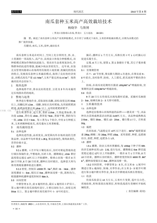 南瓜套种玉米高产高效栽培技术