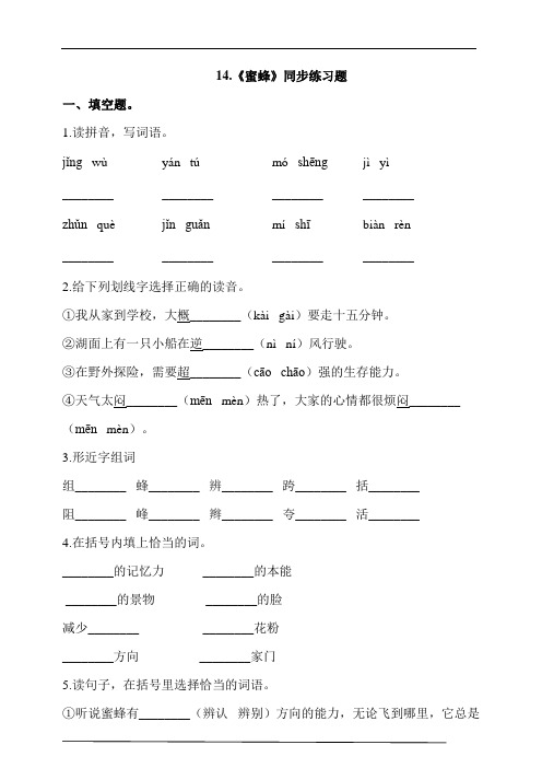 部编版三年级语文下册课课练一课一练   14.《蜜蜂》同步练习题 (含答案)