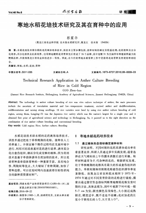 寒地水稻花培技术研究及其在育种中的应用