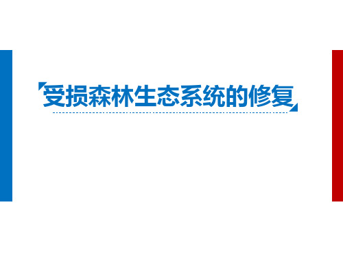 受损森林生态系统的修复 PPT课件