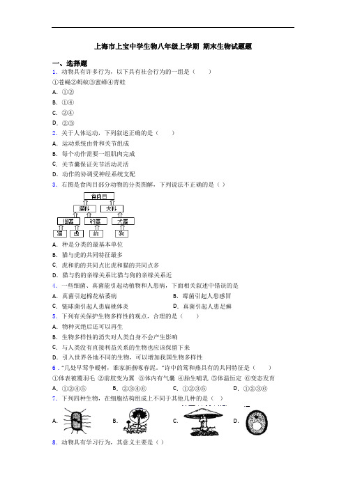 上海市上宝中学生物八年级上学期 期末生物试题题