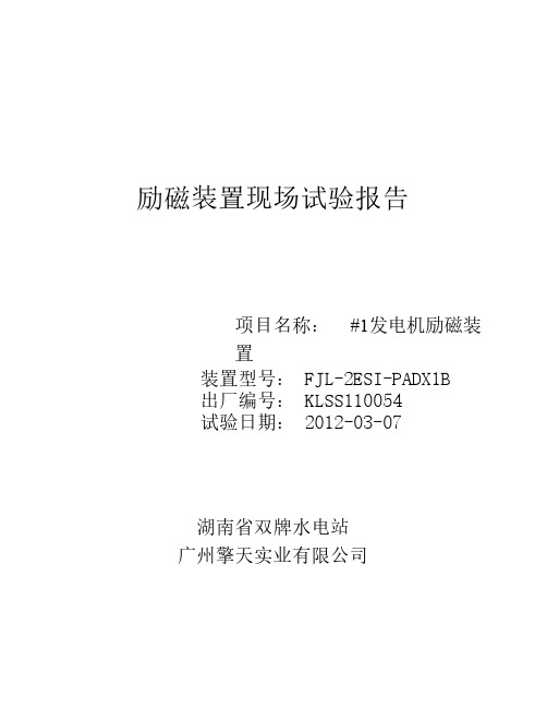 湖南省双牌水电站1#机组励磁装置现场投运报告