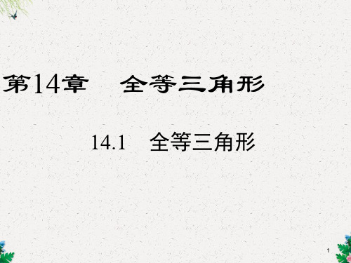 沪科版八年级数学上册第14章：14.1 全等三角形