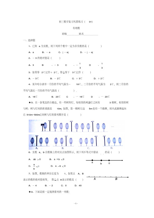 2013届九年级中考数学复习巩固练习(01)