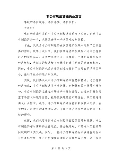 非公有制经济座谈会发言