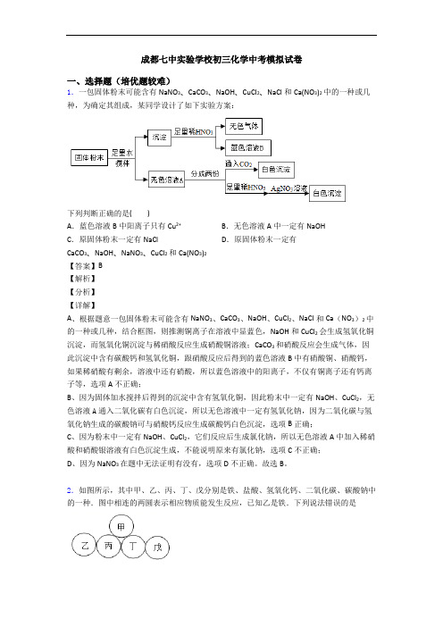 成都七中实验学校初三化学中考模拟试卷