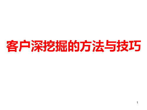 客户深挖掘的方法与技巧 PPT课件