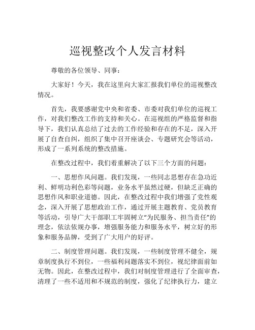 巡视整改个人发言材料