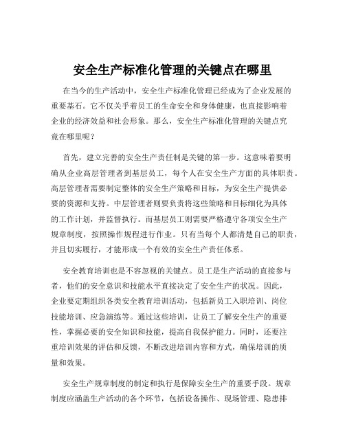 安全生产标准化管理的关键点在哪里