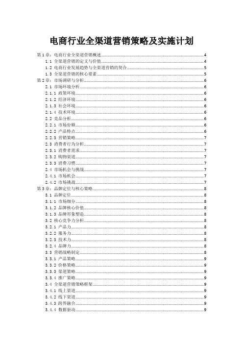 电商行业全渠道营销策略及实施计划