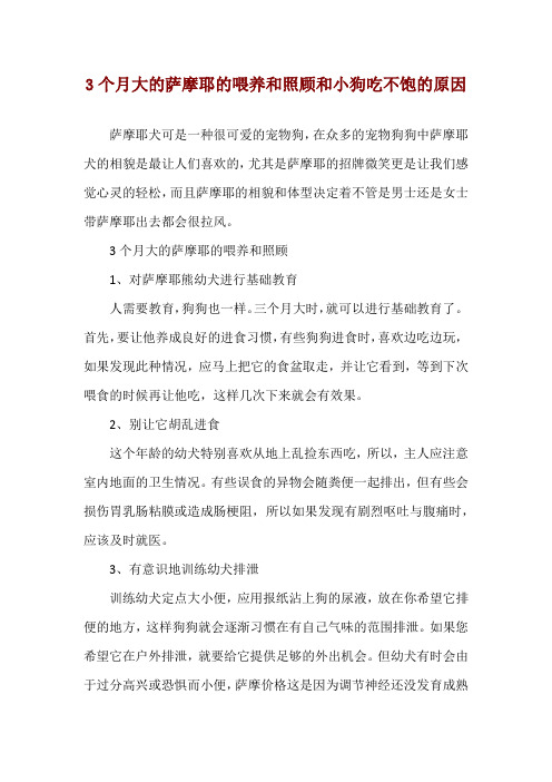 3个月大的萨摩耶的喂养和照顾和小狗吃不饱的原因