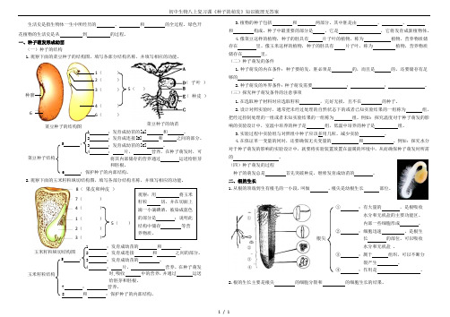 初中生物八上复习课《种子的萌发》知识梳理无答案