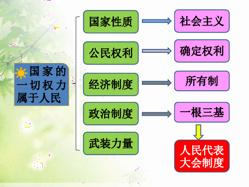 部编人教《道德与法治》八年级下册第五课  第2课时根本政治制度