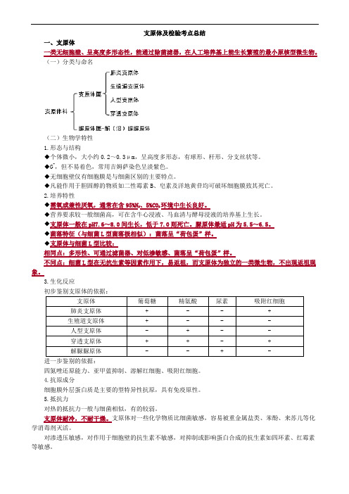 支原体及检验考点总结