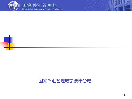 国际收支网上申报系统培训课程(ppt51张)