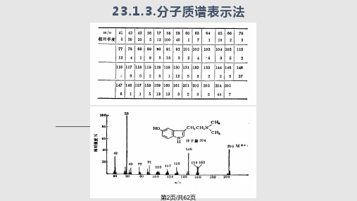 武汉大学分析化学分子质谱法