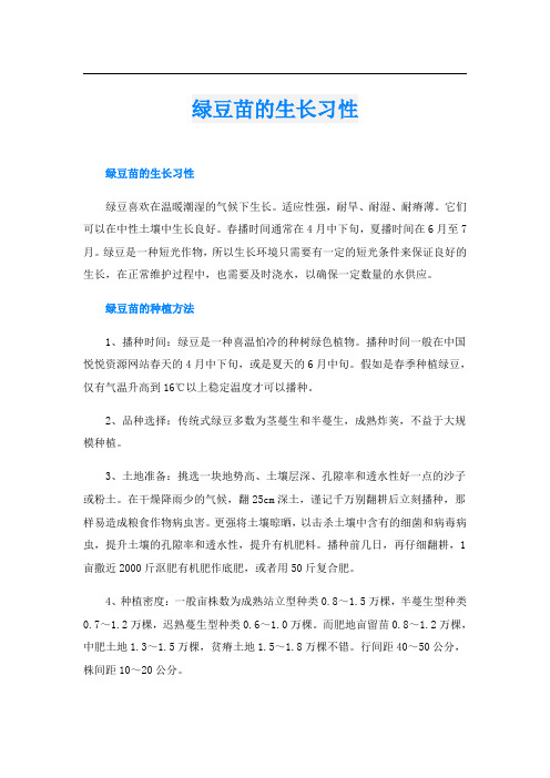 绿豆苗的生长习性