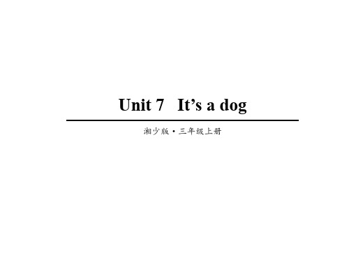 湘少版三年级英语上册Unit 7   It’s a dog课件