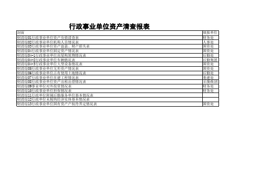 3.资产清查报表