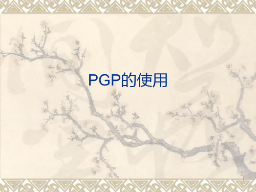 PGP的使用PPT课件