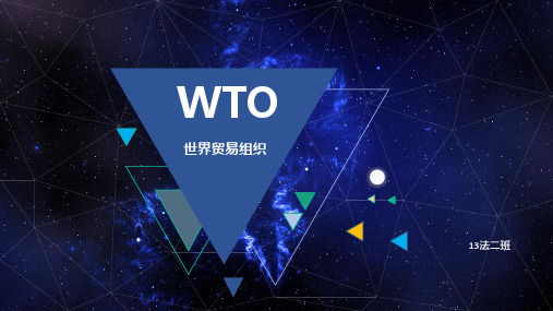 wto世界贸易组织介绍演讲ppt