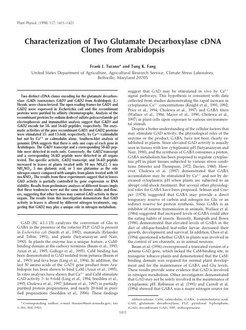 characterization of two GAD cDNA clones from arabidopsis