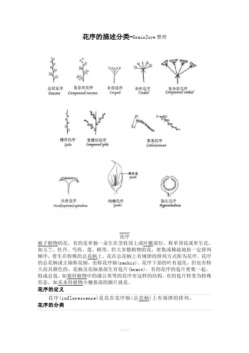 花序描述分类(最新整理)