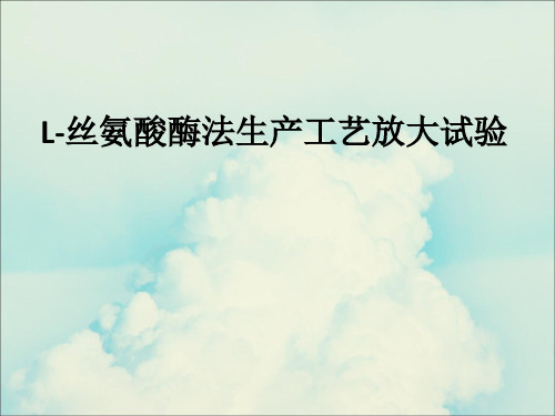 L-丝氨酸酶法生产工艺放大试验培训课件