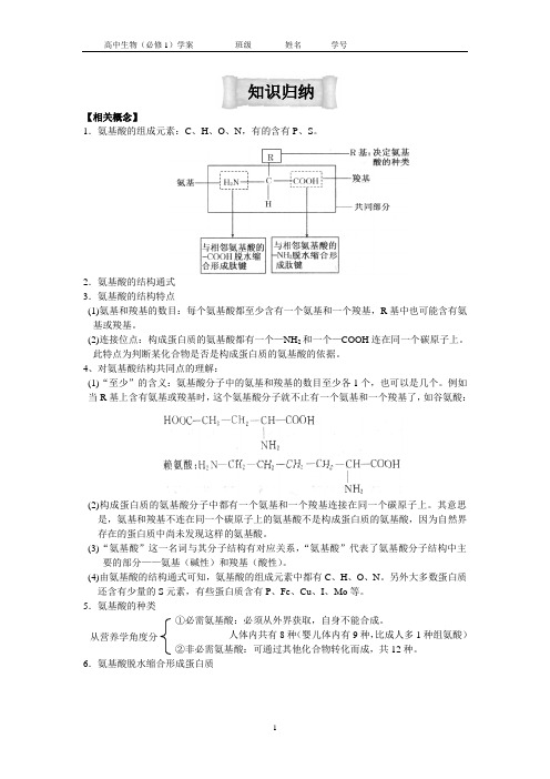 生物 必修一 蛋白质 试题