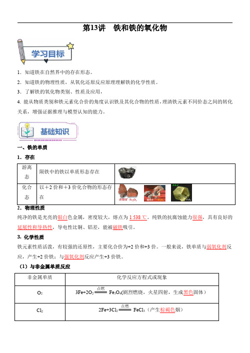 新高一化学(初升高)暑假衔接(人教版)第13讲 铁和铁的氧化物(教师版)