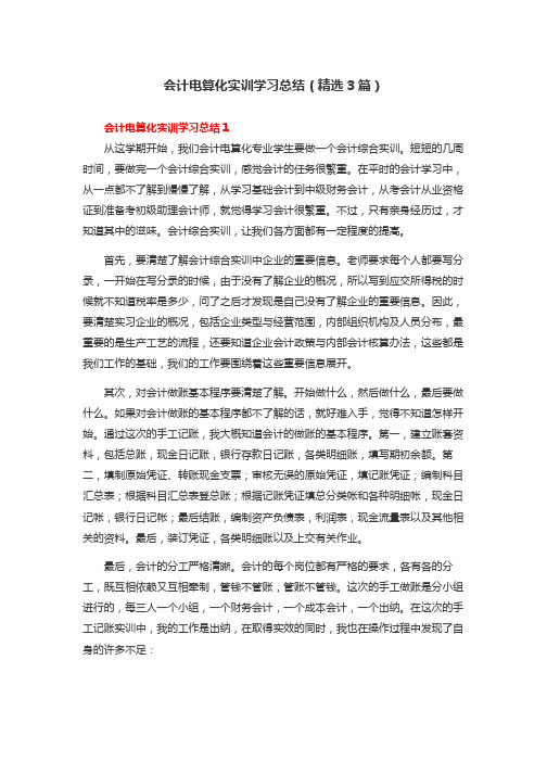 会计电算化实训学习总结(精选3篇)