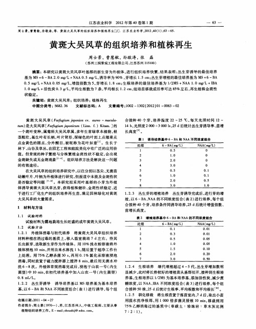 黄斑大吴风草的组织培养和植株再生