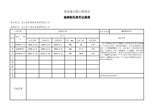 地表钻孔取芯记录表