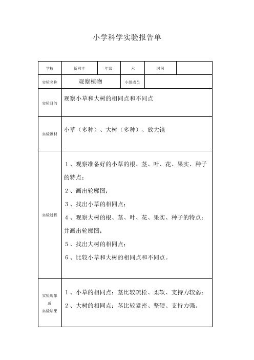 小学科学6年级实验报告单