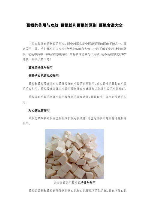 葛根的作用与功效葛根粉与葛根的区别葛根食谱大全