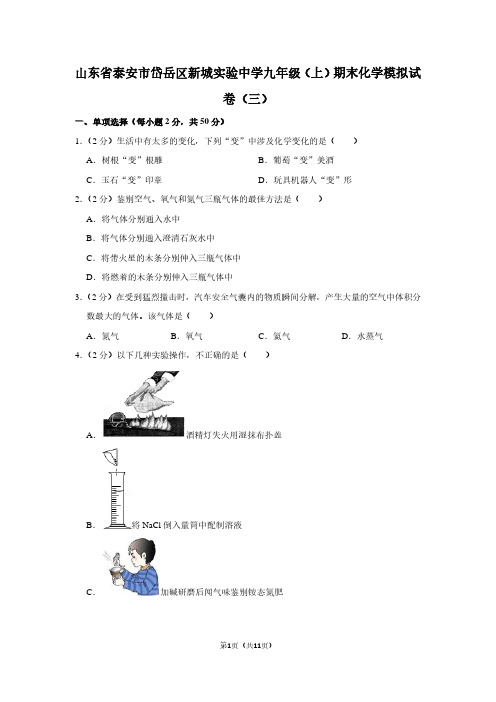 山东省泰安市岱岳区新城实验中学九年级(上)期末化学试卷(三)