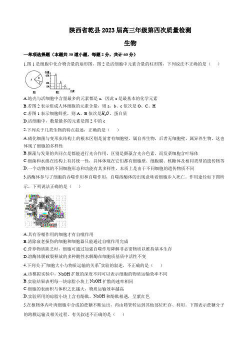 2023届陕西省咸阳市乾县中学高三第四次质量检测生物试题