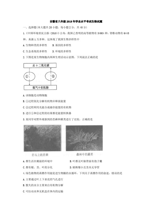 安徽省2018年八年级学业水平考试生物试题真题(word版,含答案)