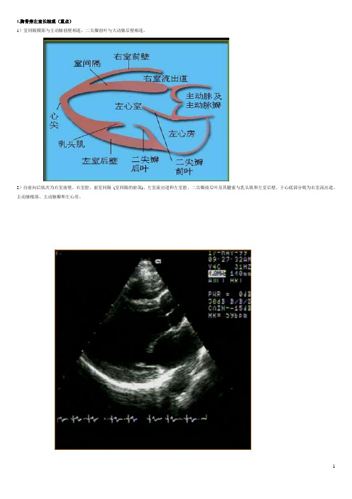 2.超声心动图