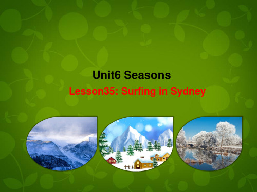 册 Unit 6 Seasons Lesson 35 Surfing in Sydney课件 新版冀教版