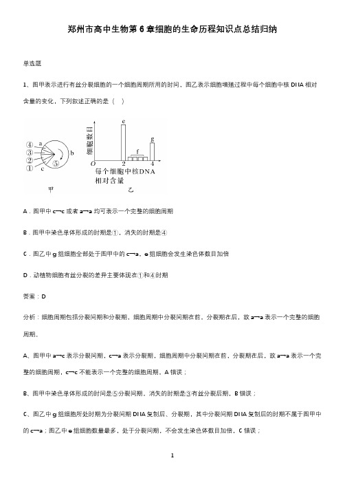 郑州市高中生物第6章细胞的生命历程知识点总结归纳