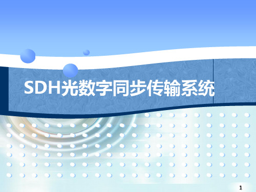 SDH PPT课件