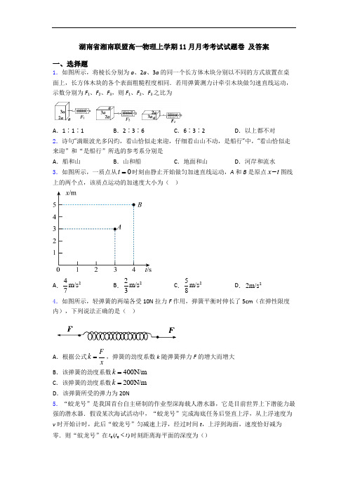 湖南省湘南联盟高一物理上学期11月月考考试试题卷 及答案