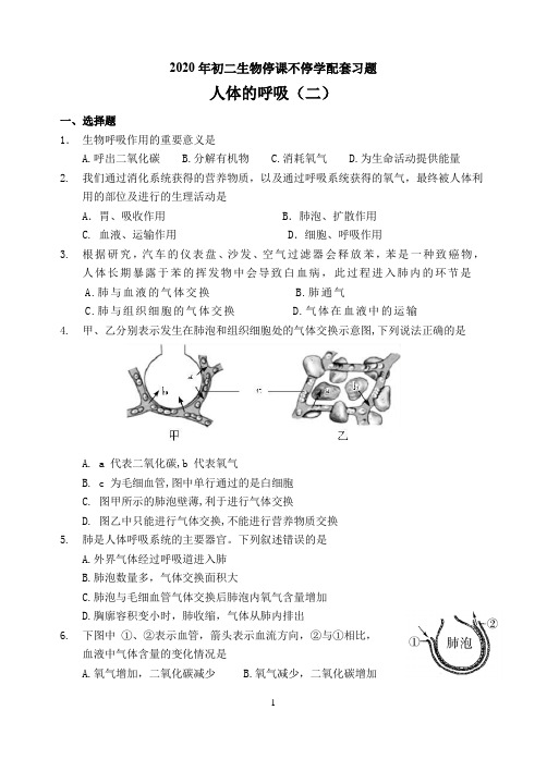 7下10章第2节+人体的呼吸专题复习习题(二)原卷 (1)  基本功训练 同步练习册