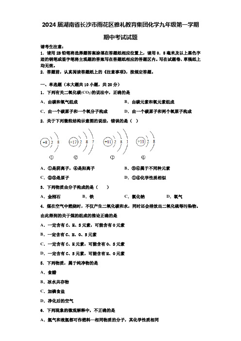 2024届湖南省长沙市雨花区雅礼教育集团化学九年级第一学期期中考试试题含答案解析