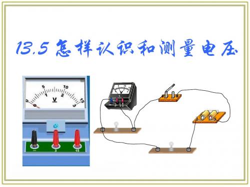 13.5怎样认识和测量电压