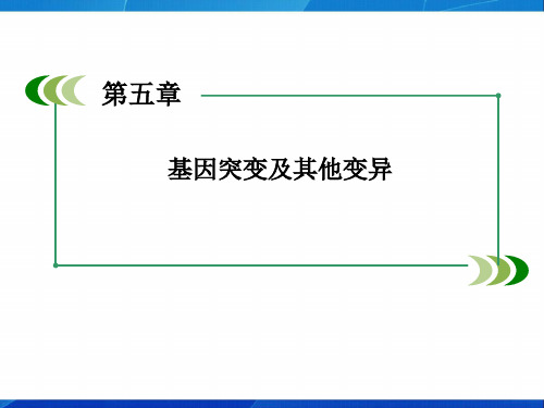 基因突变和基因重组最新课件