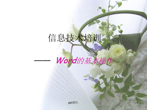 Word和excel的基本操作ppt课件