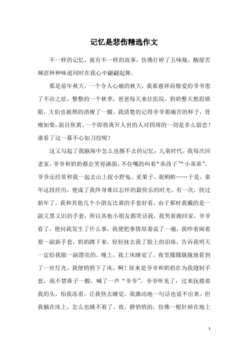 记忆是悲伤精选作文