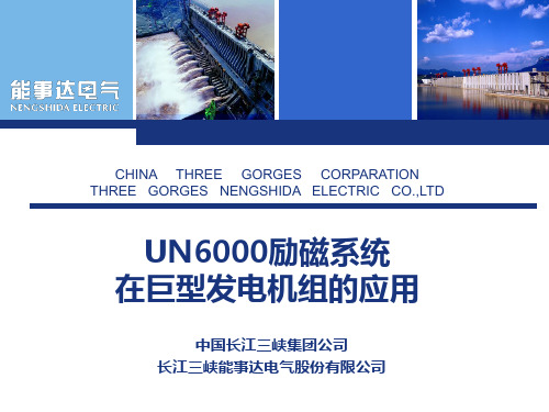 UN6000励磁系统在大型机组的应用